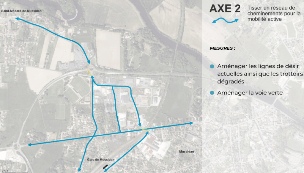 Les chemins de désir et les voies piétinées par les piétons