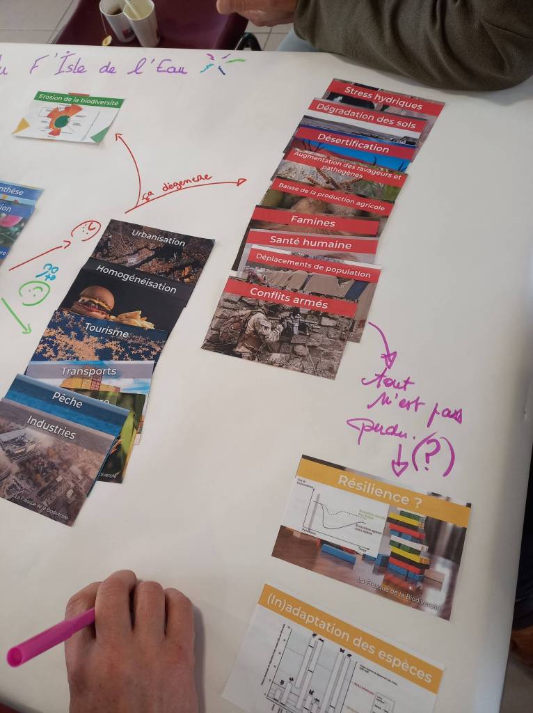 Fresque pour la biodiversité